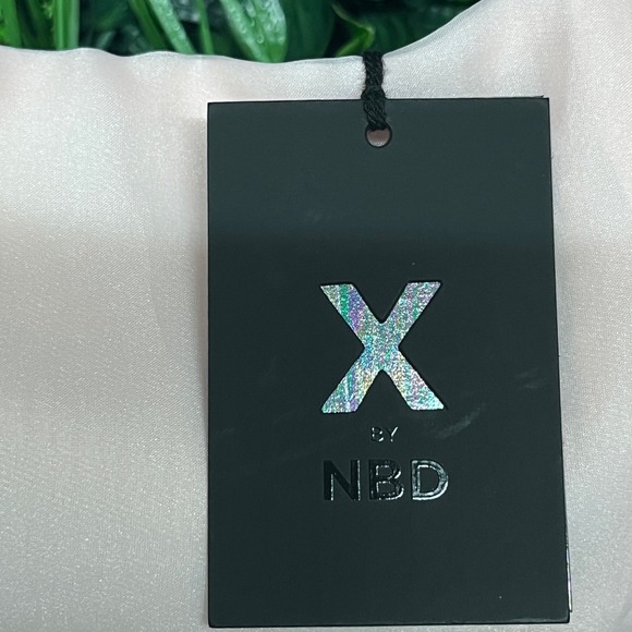 NBD X Dress XS Pink Carmelita Strapless Maxi Gown Hi Low Ruffle Organza 3203 - Picture 5 of 11